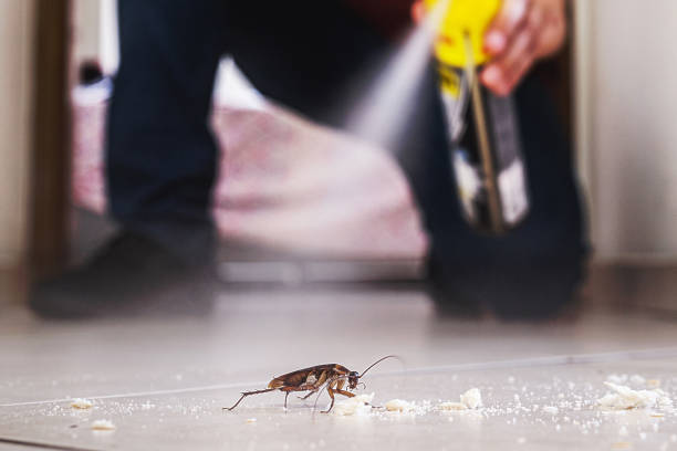 Best Cockroach Control Services  in Oakes, ND